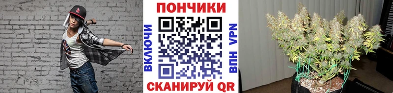 Бошки Шишки SATIVA & INDICA Сальск