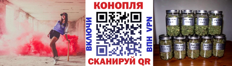 Марихуана MAZAR  Сальск 